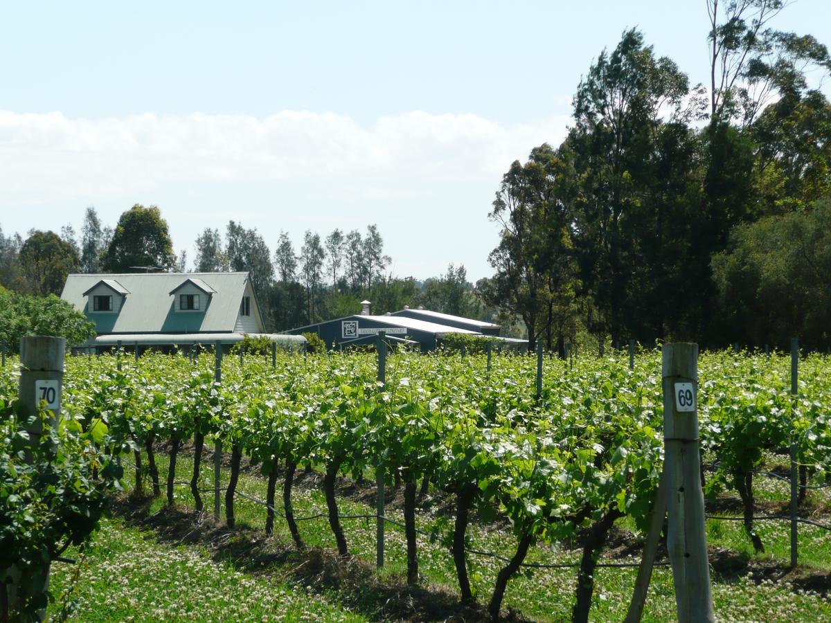 Emma'S Cottage Vineyard Lovedale Buitenkant foto