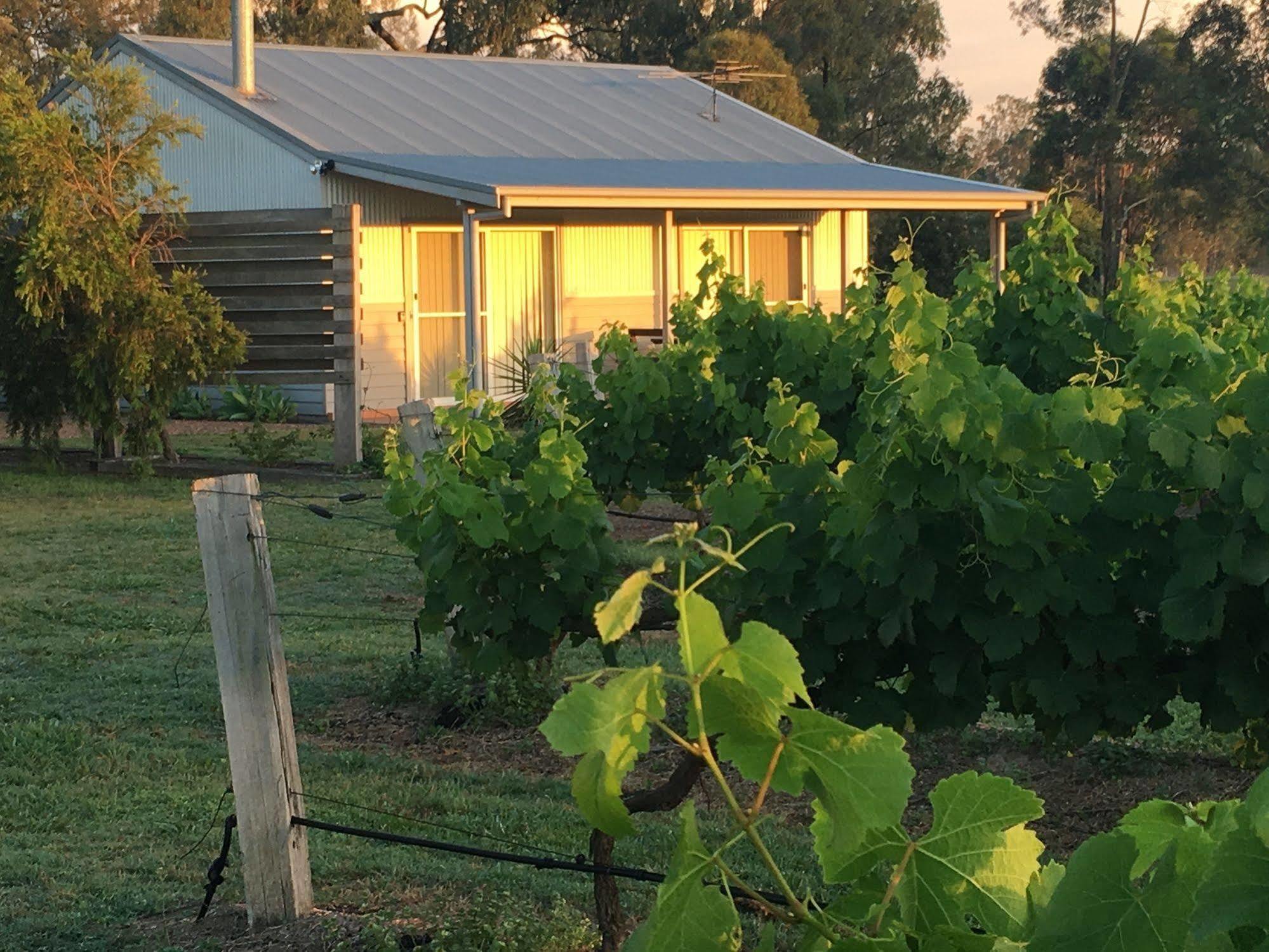 Emma'S Cottage Vineyard Lovedale Buitenkant foto