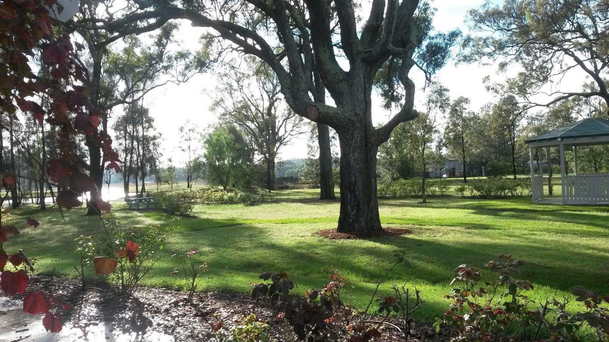 Emma'S Cottage Vineyard Lovedale Buitenkant foto